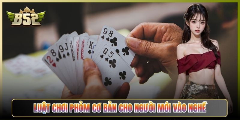 Luật Chơi Phỏm Cơ Bản Cho Người Mới Vào Nghề